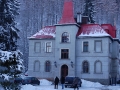 wso_polen_2011_04-jpg