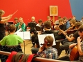 wso_polen_2011_04a-jpg