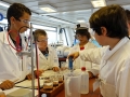 MS_Burgund_6d_2014_10