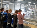 Klassenfahrt_2014_6d_17