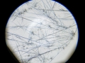 Symmetrie_2016_15
