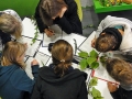 projektsymmetrie_2010_11-jpg
