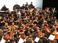 wso_10-jpg