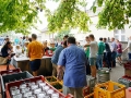 schulfest_2013_24