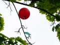 Wetterballonprojekt_410